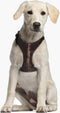 CHEWBACCA - Hondentuigje Honden Harnas- S/M (Lengte 40-59cm - Breedte 4cm)