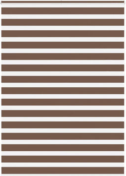 vidaXL - Zebra - rolgordijn - 165x230 - cm - stofbreedte - 160,9cm - polyester - bruin