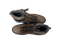 Chiemsee bergschoenen bruin maat 45