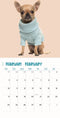 Chihuahua Studio Kalender 2025