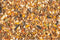 Chix Groothoen Mix