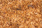 ChiX Insectenmix