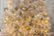 Christmas Gifts - Kerstballen Set Goud - 100 Kunststof Kerstballen - Verschillende Afwerkingen - Ø 3/4/6 cm