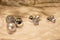 Christmas Gifts Kerstballen Set Rood - 100 Kunststof Kerstballen - Verschillende Afwerkingen - Ø 3/4/6 cm