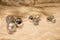 Christmas Gifts Kerstballen Set Zilver - 100 Kunststof Kerstballen - Verschillende Afwerkingen - Ø 3/4/6 cm