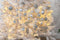 Christmas Gifts Kerstballen Set Zilver - 100 Kunststof Kerstballen - Verschillende Afwerkingen - Ø 3/4/6 cm