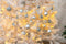 Christmas Gifts Kerstballen Set Zilver - 70 Stuks Kunststof Kerstballen - Incl. Kerstballen Opbergbox - Ø4/5/6 cm