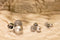 Christmas Gifts Kerstballen Set Zilver - 70 Stuks Kunststof Kerstballen - Incl. Kerstballen Opbergbox - Ø4/5/6 cm