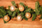 Christmas Gifts Kerstslinger - Kunststof Dennenslinger - Garland Groen - 270 CM