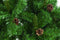 Christmas Gifts Kunstkerstboom met Dennenappels - 210 cm - Ø 130 cm - 980 Toppen
