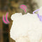 Little Live Pets - My Pet Lamb - Interactief Lammetje met geluiden - Snowie