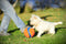 Chuckit! Kauwspeelgoed Kick fetch - Small - Hondenspeelgoed - Hondenbal - Chuckit bal - Oranje/Blauw - ø 14 cm - 1 ST