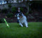 Chuckit! Max Glow Ultra Fetch Stick - Hondenspeelgoed - Interactieve apporteerspelletjes - Glow in the dark - 28 cm - Groen