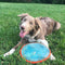 Chuckit! Paraflight - Hondenspeelgoed - Hondenspeeltje - Frisbee - Large - Ø25 cm - Blauw/Oranje