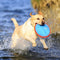 Chuckit! Paraflight - Hondenspeelgoed - Hondenspeeltje - Frisbee - Large - Ø25 cm - Blauw/Oranje