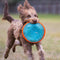 Chuckit! Paraflight - Hondenspeelgoed - Hondenspeeltje - Frisbee - Large - Ø25 cm - Blauw/Oranje