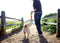 Chuckit! Rugged Bumper - Hondenspeeltje - Apporteerspeelgoed - Drijvend - Nylon/Rubber - Medium - Oranje/Blauw - 34 cm