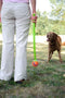 Chuckit! Ultra Ball – Hondenspeelgoed – Hondenbal – Apporteerspeelgoed – Duurzaam rubber - M – Ø 6 cm – Oranje/Blauw - 1 Stuks