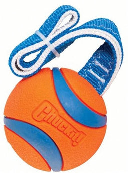 Chuckit Ultra Ball Ø 7 cm – Rubberen Hondenbal - Hondenspeelgoed – Drijvend honden speelgoed – Oranje – 1 Stuk
