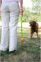 Chuckit! Ultra Squeaker Bal - Hondenspeelgoed - Hondenbal - Duurzaam rubber - Small - Ø5 cm - Blauw/Oranje - 1 Stuks