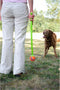 Chuckit! Ultra Squeaker Bal - Hondenspeelgoed - Hondenbal - Duurzaam rubber - Large - Ø7 cm - Blauw/Oranje - 1 Stuks