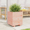 vidaXL - Plantenbak - 40x40x49,5 - cm - massief - douglashout