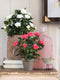 Mica Decorations Rozenstruik Kunstplant in Bloempot Stan - H33 x Ø25 cm - Geel