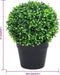 vidaXL - Kunstplanten - met - pot - 2 - st - buxus - bolvorming - 37 - cm - groen