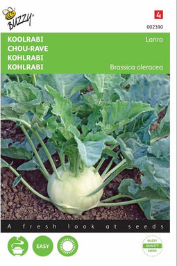 2 stuks - Buzzy - Koolrabi Lanro
