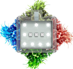 Ciano - Aquariumverlichting - Vissen - Ciano Led Cln5 Rgb Betta Nexus (+ Converter) 1,5w/12v - 7,5x5,8x18cm - 1st