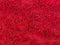 CIDE - Shaggy vloerkleed - Rood - 140 x 200 cm - Polyester