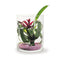 Cilinder cc 'tour' h25 d20 cm