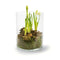 Cilinder cc 'tour' h25 d20 cm