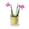 Cilinder 'heavy' h14 d14 cm