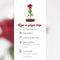 Nonchi Roos in Glazen Stolp - LED Verlichting - Gouden Roos - Cadeau voor Vrouw - Inclusief Giftbox