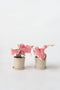 Plant in a Box - Caladium Sweetheart - Set van 2 - Tropische kamerplant - Pot 12cm - Hoogte 25-40cm