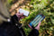Canon Powershot Zoom - Superzoom compactcamera - 12 Megapixel Full HD - Wit