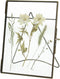 Wants&Needs Fotolijst Dried Flower Messing Brons 13 X 2 X 18