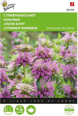 Citroenbergamot ( Monarda citriodora)