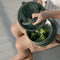 Citron Voedselbewaarpotje - 400ml - Ø15xH8cm - Green
