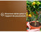 Citrus & Mediterrane Planten Grond - BRUIN GOUD - OBRTAGR6U - 6L - Olijfbomen Palmbomen & Cycas