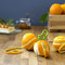 Citrus schiller Zesty - Peleg Design