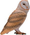 Mojo Wildlife Kerkuil - 381054