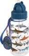 Rex London Lunchbox set met Broodtrommel / Drinkfles - Haai