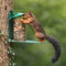 CJ Wildlife - Metalen eekhoorn voederhuis Sarita - Groen - Duurzaam voederstation voor eekhoorns - Eekhoornvoederhuisje