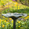 CJ Wildlife - Silbersee Pedestal Bird Bath - Waterdishes