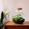 Growing Concepts DIY Duurzaam Ecosysteem Bol - H30xØ18cm