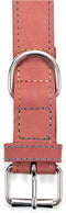 Dog collar Gloria Oasis Pink (1,2 x 35 cm)
