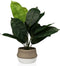 Decoratieve plant Versa 15 x 43 x 15 cm Cement Plastic