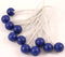 Elastiek met bal blauw - 12 delig - Spanelastiek - 15cm - Benson